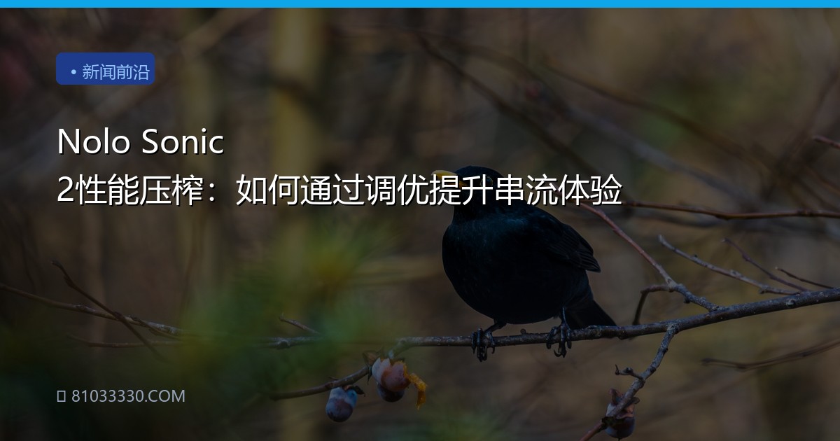 Nolo Sonic 2性能压榨：如何通过调优提升串流体验