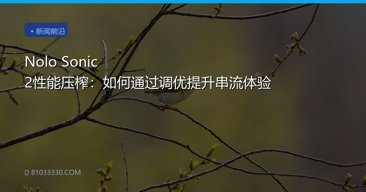 Nolo Sonic 2性能压榨：如何通过调优提升串流体验